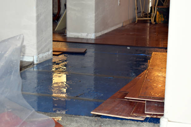 Professional Burst Pipe Cleanup technician working in Plainville, GA